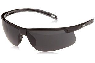 Очки защитные открытые Pyramex Ever-Lite (Anti-Fog) (dark gray) черные 2ЕВЕРАФ-23 фото